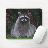 Niedlich Forest Raccoon Wildlife Foto Mousepad (Mit Mouse)