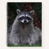 Niedlich Forest Raccoon Wildlife Foto Notebook Notizblock (Vorderseite)