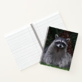 Niedlich Forest Raccoon Wildlife Foto Notebook Notizblock (Innenseite)