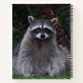 Niedlich Forest Raccoon Wildlife Foto Notebook Notizblock (Rückseite)