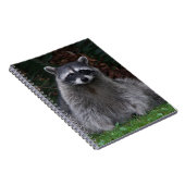 Niedlich Forest Raccoon Wildlife Foto Notizblock (Rechte Seite)