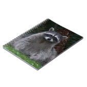 Niedlich Forest Raccoon Wildlife Foto Notizblock (Linke Seite)