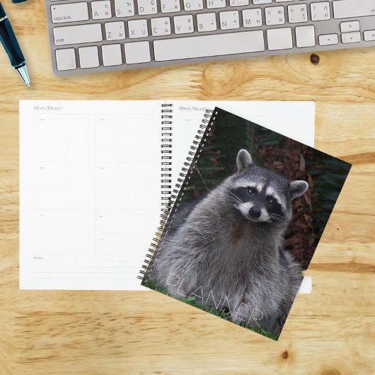 Niedlich Forest Raccoon Wildlife Foto Planer