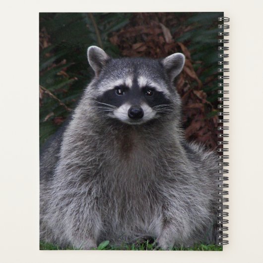 Niedlich Forest Raccoon Wildlife Foto Planer (Rückseite)