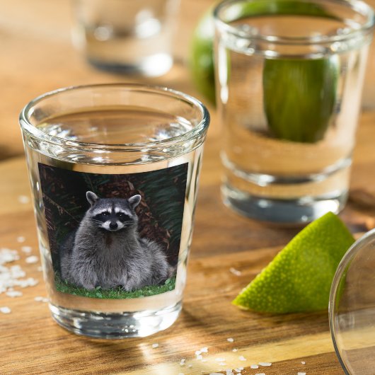 Niedlich Forest Raccoon Wildlife Foto Schnapsglas