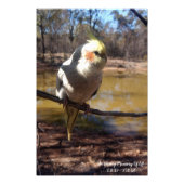 Niedlich Fotodruck (Vorne)