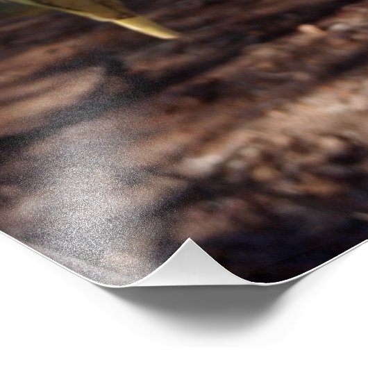 Niedlich Fotodruck (Ecke)