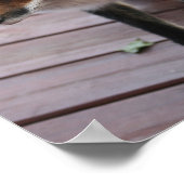 Niedlich Fox Foto Sprichwort Poster (Ecke)