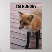 Niedlich Fox Foto Sprichwort Poster (Vorne)