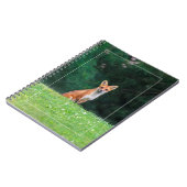 Niedlich Fox Notizblock (Linke Seite)