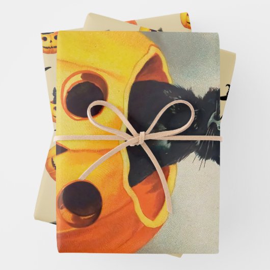 Niedlich Friendly Black Cat sitzend in einem Pumpk Geschenkpapier Set (Beispiel)