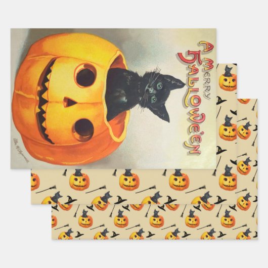 Niedlich Friendly Black Cat sitzend in einem Pumpk Geschenkpapier Set (Set)