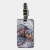 Niedlich Friendly Hawaiian Sea Turtle Honu Foto Gepäckanhänger (Vorderseite vertikal)