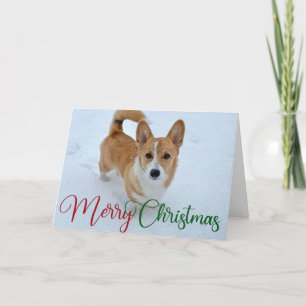 Niedlich frohe Weihnachts-Corgi mit Schwanz im Sch Feiertagskarte
