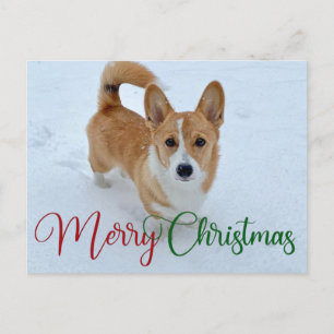Niedlich frohe Weihnachts-Corgi mit Schwanz im Sch Postkarte
