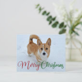 Niedlich frohe Weihnachts-Corgi mit Schwanz im Sch Postkarte (Stehend Vorderseite)