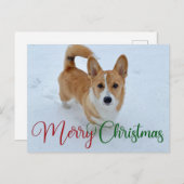 Niedlich frohe Weihnachts-Corgi mit Schwanz im Sch Postkarte (Vorne/Hinten)