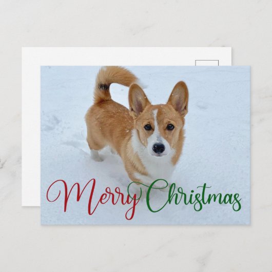 Niedlich frohe Weihnachts-Corgi mit Schwanz im Sch Postkarte (Vorne/Hinten)