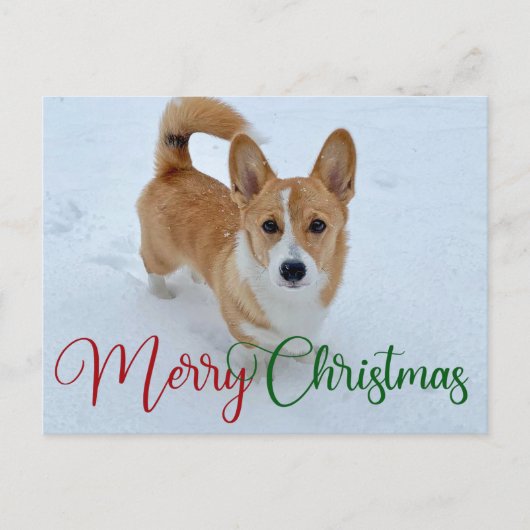 Niedlich frohe Weihnachts-Corgi mit Schwanz im Sch Postkarte (Vorderseite)