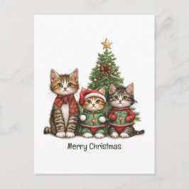 Niedlich frohe Weihnachtskatzen Feiertagspostkarte