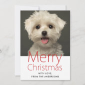 Niedlich Frohe Weihnachtsmann Foto Feiertagskarte (Vorderseite)