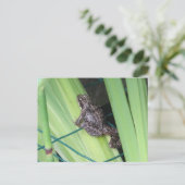 Niedlich Frosch DIY Postkarte (Stehend Vorderseite)