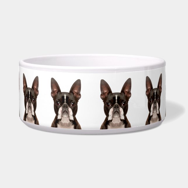 Niedlich Fun Boston Terrier Dog Breed Pattern Napf (Vorderseite)