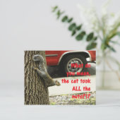 Niedlich Funny Animal Eichhörnchen Joke Postkarte (Stehend Vorderseite)