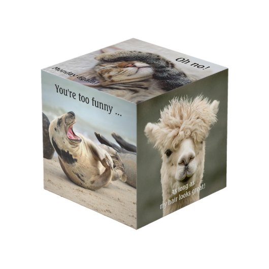 Niedlich Funny Animal Foto Cube Würfel (Vorderseite Schrägansicht)