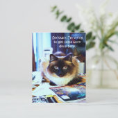 Niedlich Funny Animal Kitty Cat Joke Postkarte (Stehend Vorderseite)
