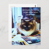 Niedlich Funny Animal Kitty Cat Joke Postkarte (Vorne/Hinten)