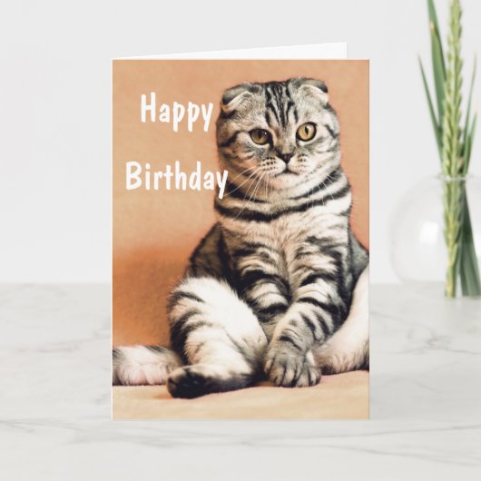 Niedlich Funny Cat Happy Birthday Karte (Vorderseite)