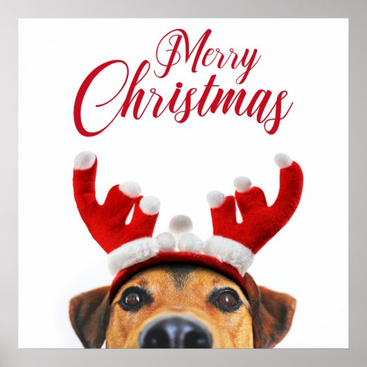 Niedlich Funny Christmas Hund Rentier Antler Headb Poster (Vorne)