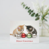 Niedlich Funny Frohe Weihnachts Kitten Cat Postkarte (Stehend Vorderseite)