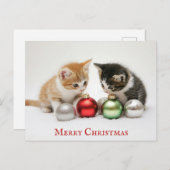Niedlich Funny Frohe Weihnachts Kitten Cat Postkarte (Vorne/Hinten)