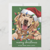 Niedlich Funny Golden Retriever Weihnachtsmannmütz Feiertagskarte (Vorderseite)