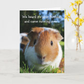 Niedlich Funny Guinea Pig Geburtstag Karte (Gelbe Blume)