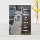 Niedlich Funny Humour Llama Geburtstag Karte (Gelbe Blume)