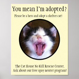 Niedlich Funny Kitten Foto Adoptierte eine Shelter Poster