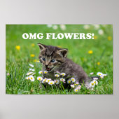 Niedlich Funny Kitten Liebende Blume Poster (Vorne)