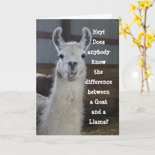 Niedlich Funny Llama Spaß Geburtstag Karte (Gelbe Blume)