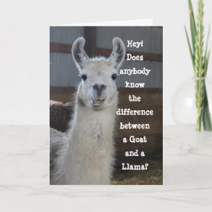 Niedlich Funny Llama Spaß Geburtstag Karte