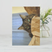 Niedlich Funny Maine Coon Kitty Ich bin nicht hier (Stehend Vorderseite)