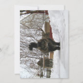 Niedlich Funny Maine Coon Lass es schneien (Vorderseite)