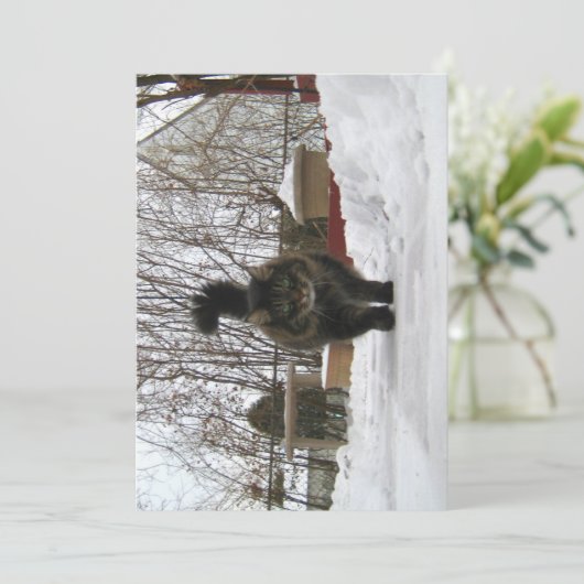 Niedlich Funny Maine Coon Lass es schneien (Stehend Vorderseite)