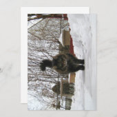 Niedlich Funny Maine Coon Lass es schneien (Vorne/Hinten)