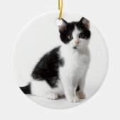 Niedlich Funny Pellet Kätzchen Schwarz-Weiß Katze Keramik Ornament (Vorne)