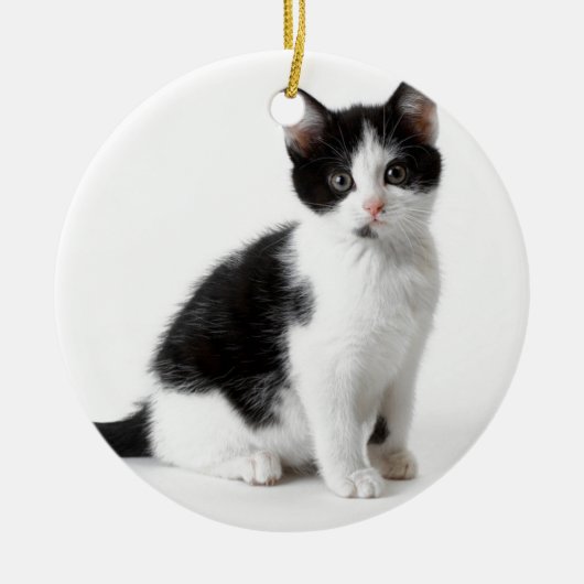Niedlich Funny Pellet Kätzchen Schwarz-Weiß Katze Keramik Ornament (Vorne)