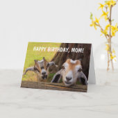 Niedlich "Für Mama" Kinderziege Geburtstag Karte (Gelbe Blume)