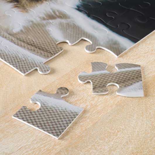 Niedlich Fuzzy Calico Tabby Kitten Cat Foto Puzzle (Seite)